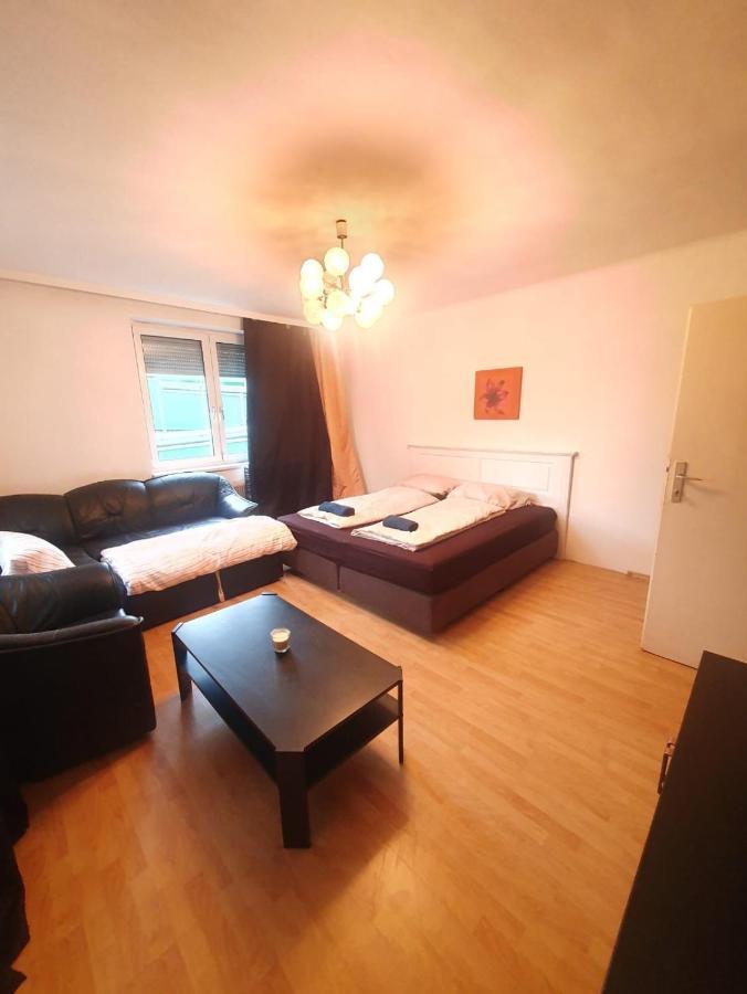 Breathtaking Near Danube River /w Garden And Parking * Vienna